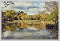 Old Oaks fishing pond in Autumn