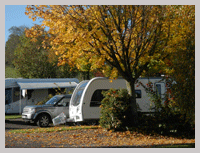 Terraces in Autumn at Old Oaks