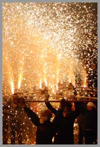 bridgwater carnival image 2