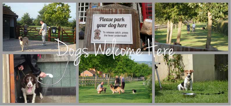dog friendly images from old oaks campsite