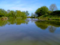 fishing lake at the old oaks