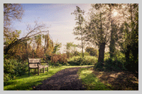 take at seat at the pond