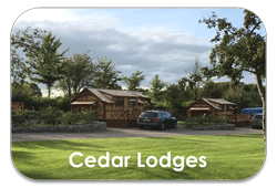 Mini cedar lodge accommodation