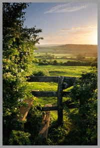 somerset lanscape by photographer stephen spraggon