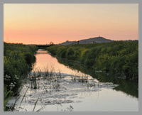 somerset landscape by stephen spraggon