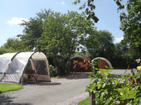 the birches at the old oaks