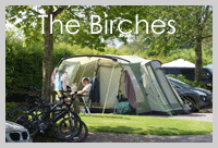 The Birches at Old Oaks