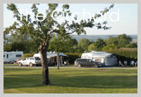 The Orchard at Old Oak