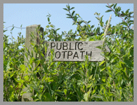 footpath to glastonbury tor