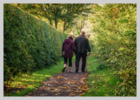 walking to glastonbury tor from old oaks